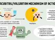 Arni – Arti Nama dan Nama Tengah Yang Cocok