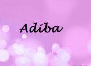 Adiba – Arti Nama dan Nama Tengah Yang Cocok