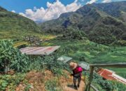 Awa – Arti Nama dan Nama Tengah Yang Cocok