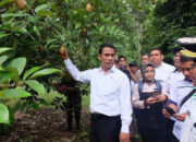 Amran – Arti Nama dan Nama Tengah Yang Cocok