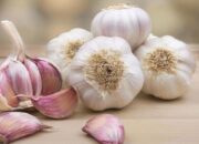 Ajo – Arti Nama dan Nama Tengah Yang Cocok