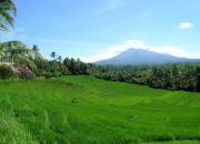 Alam – Arti Nama dan Nama Tengah Yang Cocok