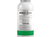 Alfan – Arti Nama dan Nama Tengah Yang Cocok