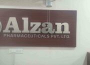 Alzan – Arti Nama dan Nama Tengah Yang Cocok