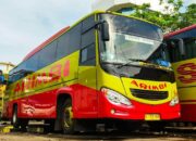Arimbi – Arti Nama dan Nama Tengah Yang Cocok